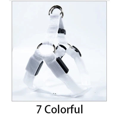 44564156317950|44564156350718|44564156383486|44564156416254|44564156449022