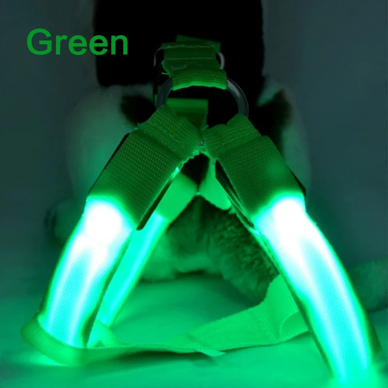 44564155498750|44564155531518|44564155564286|44564155597054|44564155629822